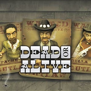 Аппараты Dead Or Alive – почувствуйте себя настоящим мужчиной
